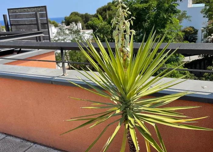 Sunny Apartment Sa Boadella Big Solarium Sea View
