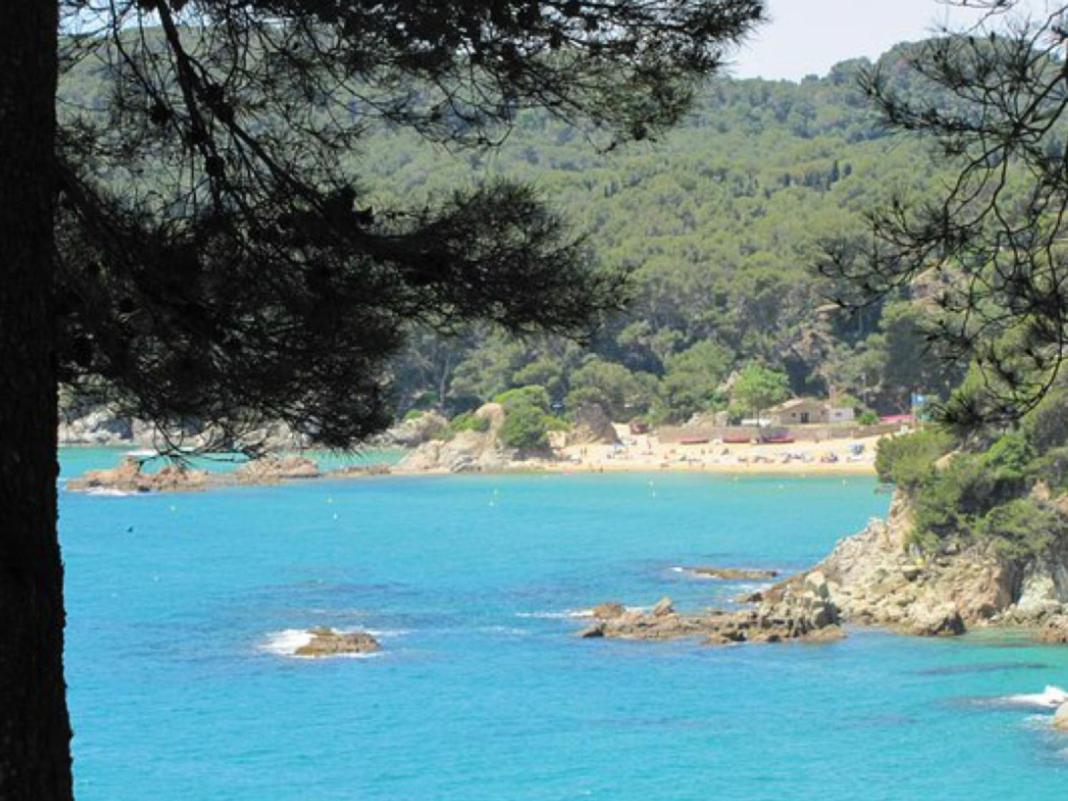 Sunny Sa Boadella Big Solarium Sea View Appartement
